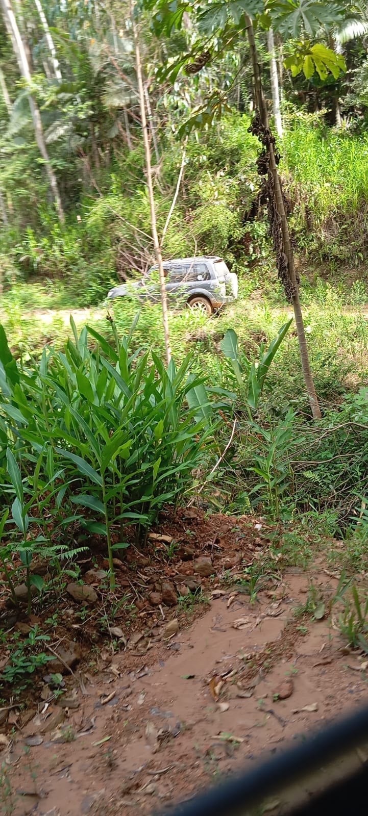 2º Passeio Expedition - Foto 7