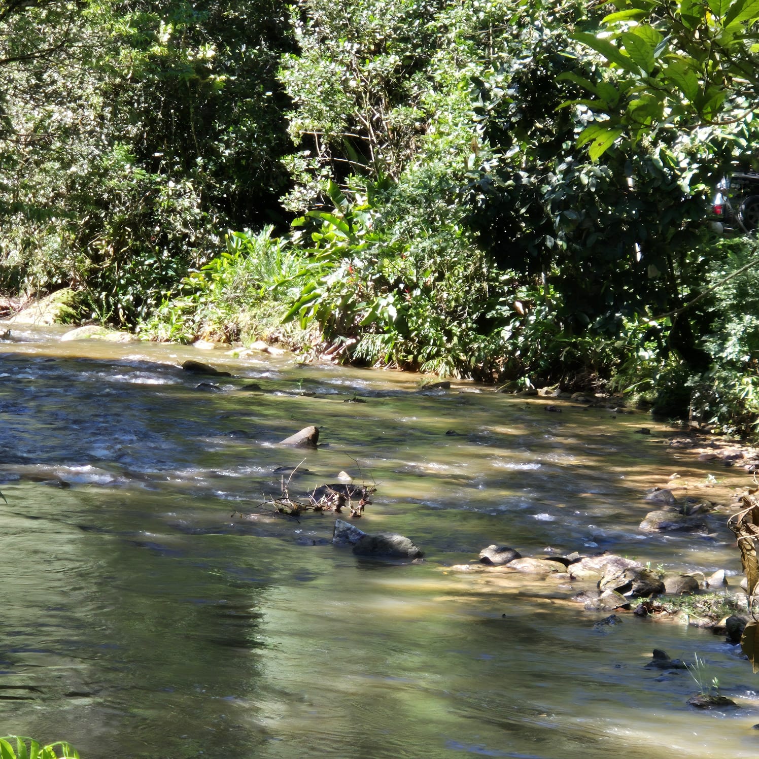 3º Passeio Expedition - Foto 13